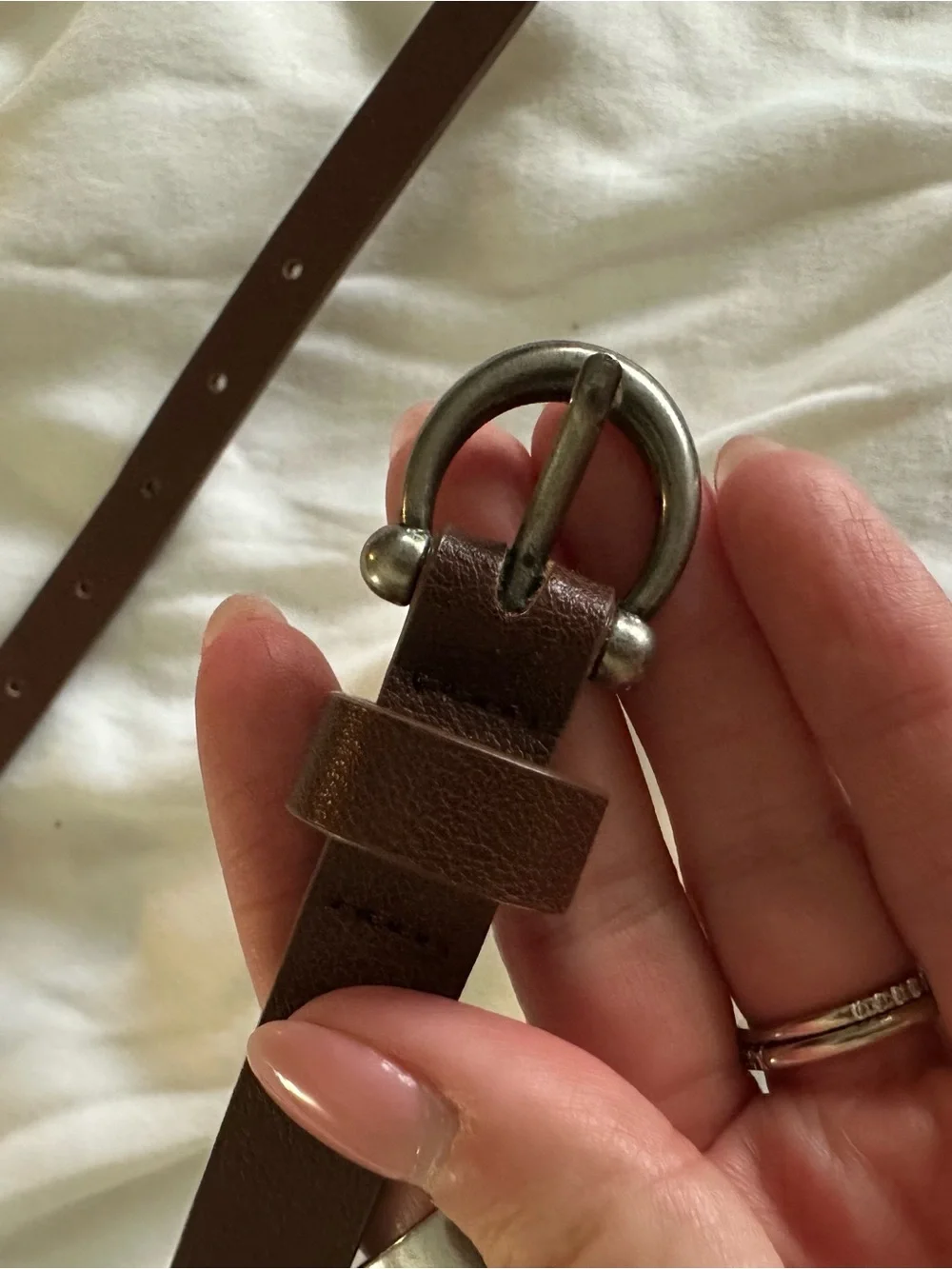 Brown Belt